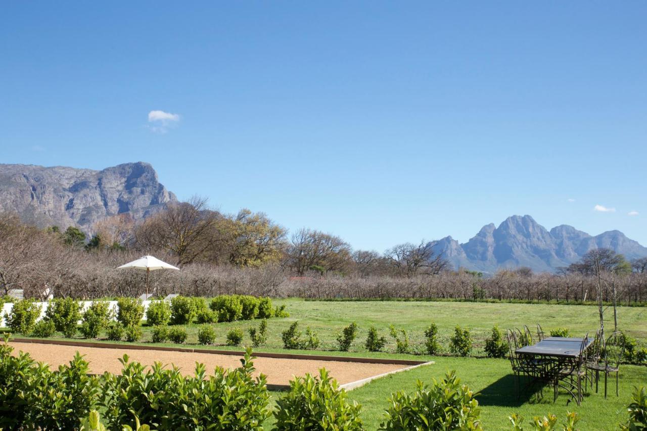 La Chataigne Wines & Guest Cottages Franschhoek Buitenkant foto