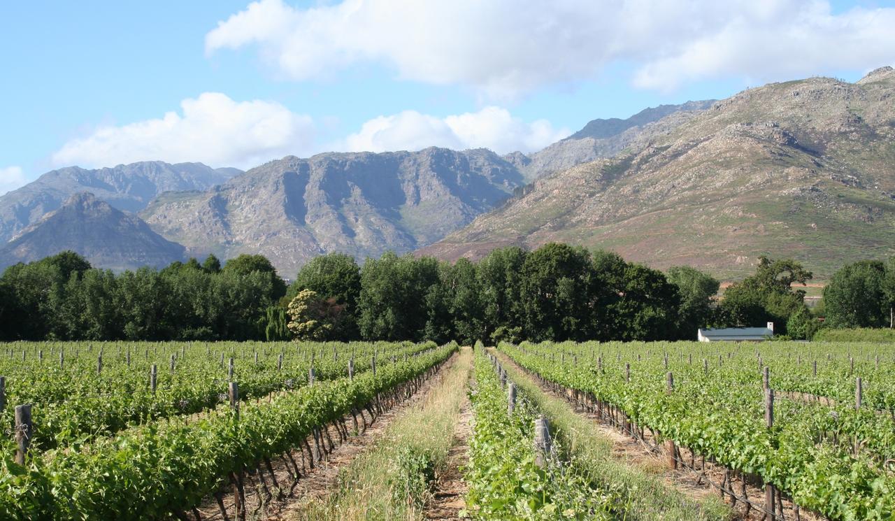 La Chataigne Wines & Guest Cottages Franschhoek Buitenkant foto