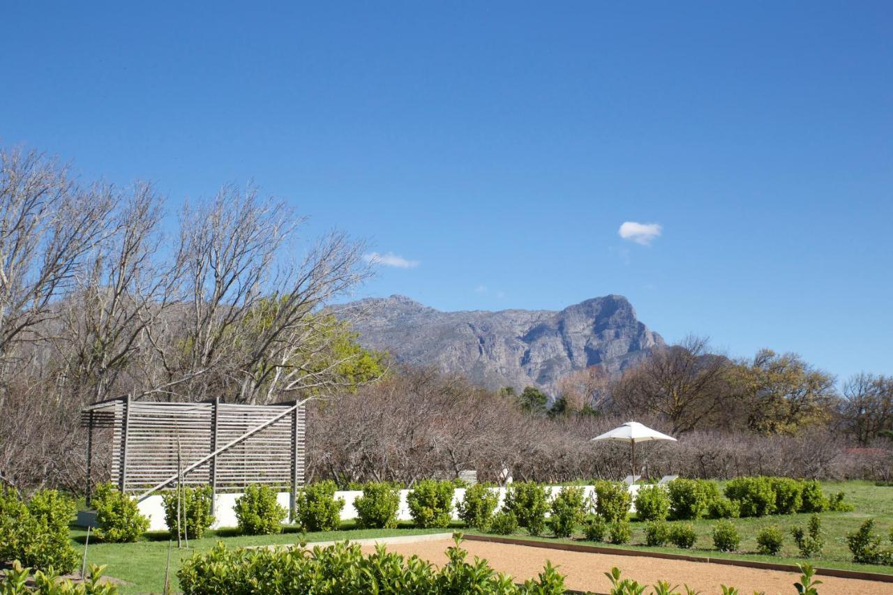 La Chataigne Wines & Guest Cottages Franschhoek Buitenkant foto