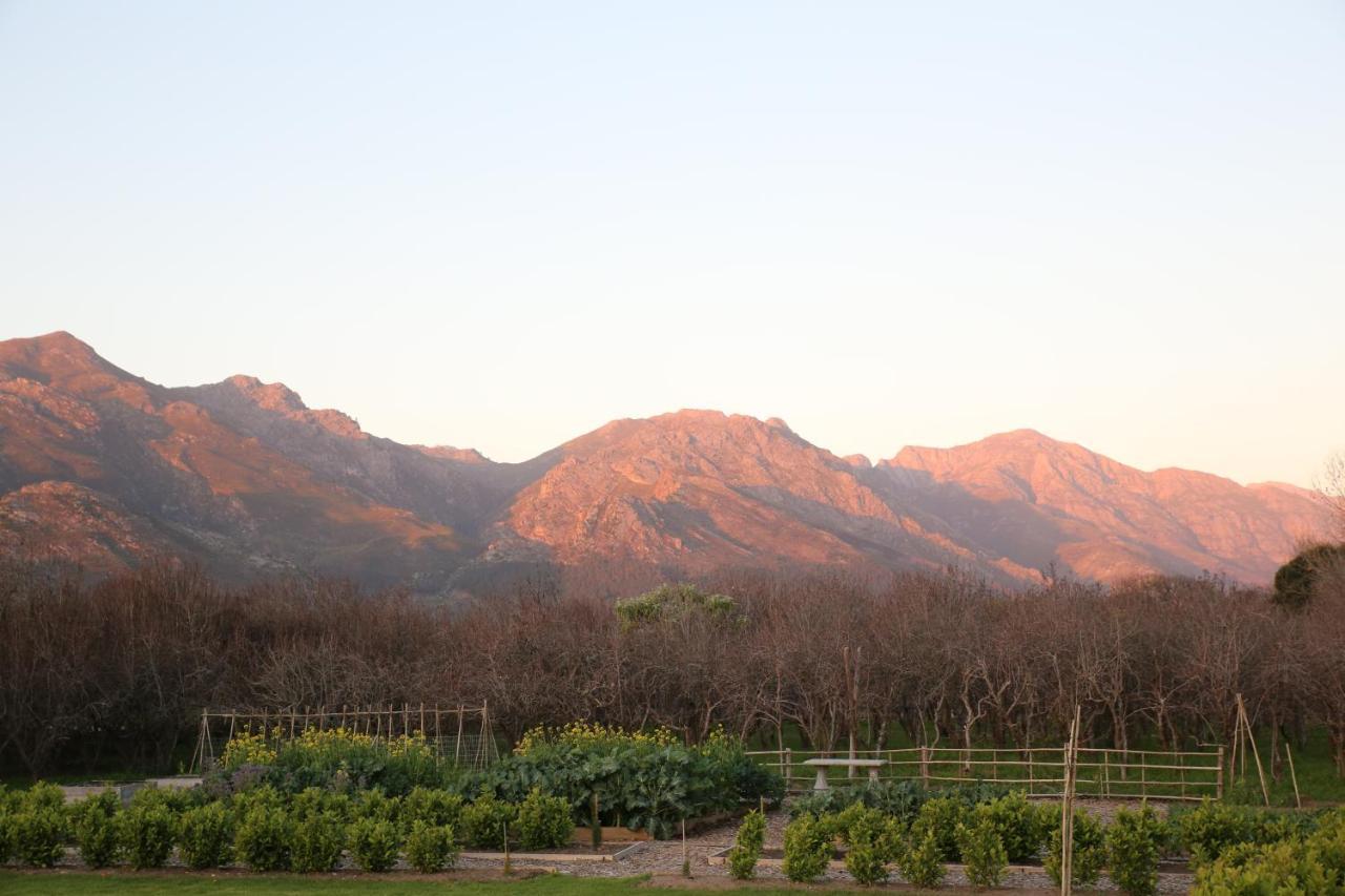 La Chataigne Wines & Guest Cottages Franschhoek Buitenkant foto