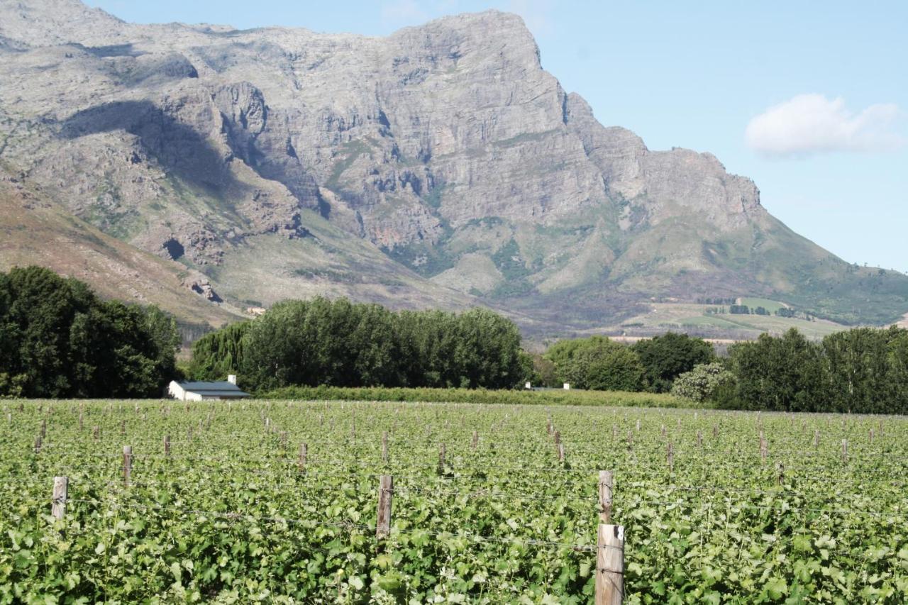 La Chataigne Wines & Guest Cottages Franschhoek Buitenkant foto