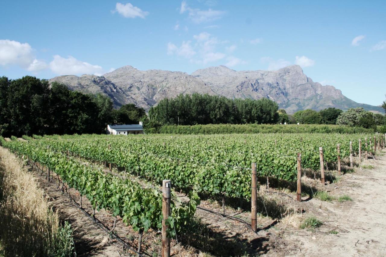 La Chataigne Wines & Guest Cottages Franschhoek Buitenkant foto